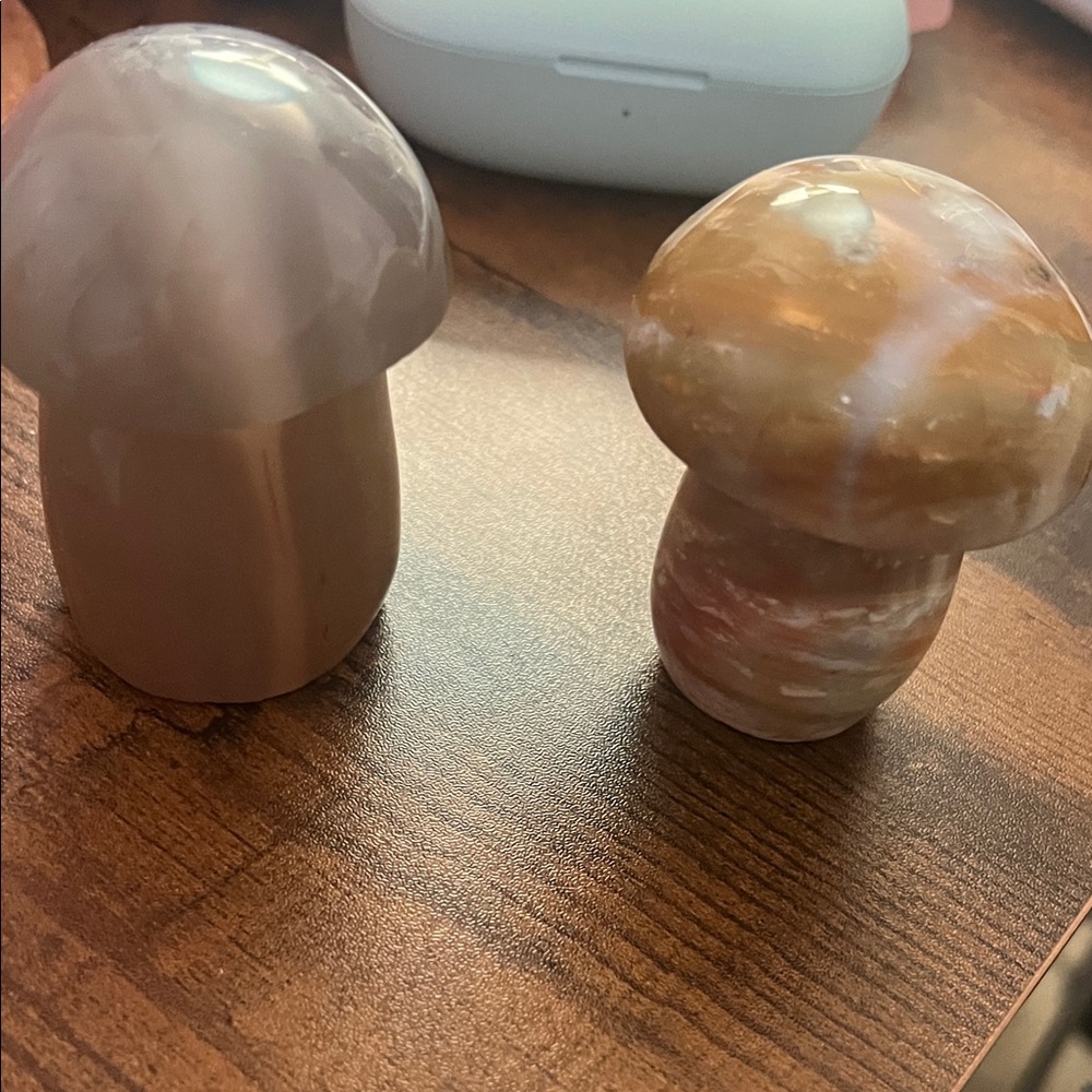 Set of Two Stone Mushroom Decor